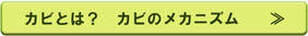 カビとは？カビのメカニズム