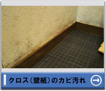 クロス・壁紙のカビ汚れ