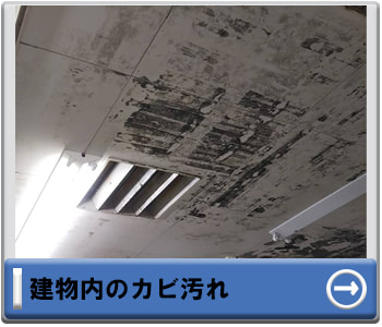 建物内のカビ汚れ